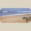 080531_Hossegor022